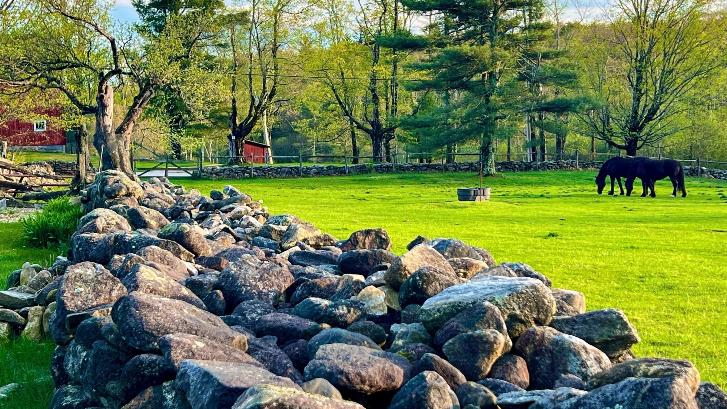 Farm at 764 East Hill Road, New Marlboro MA 01230, New Marlboro, photo 18 of 42