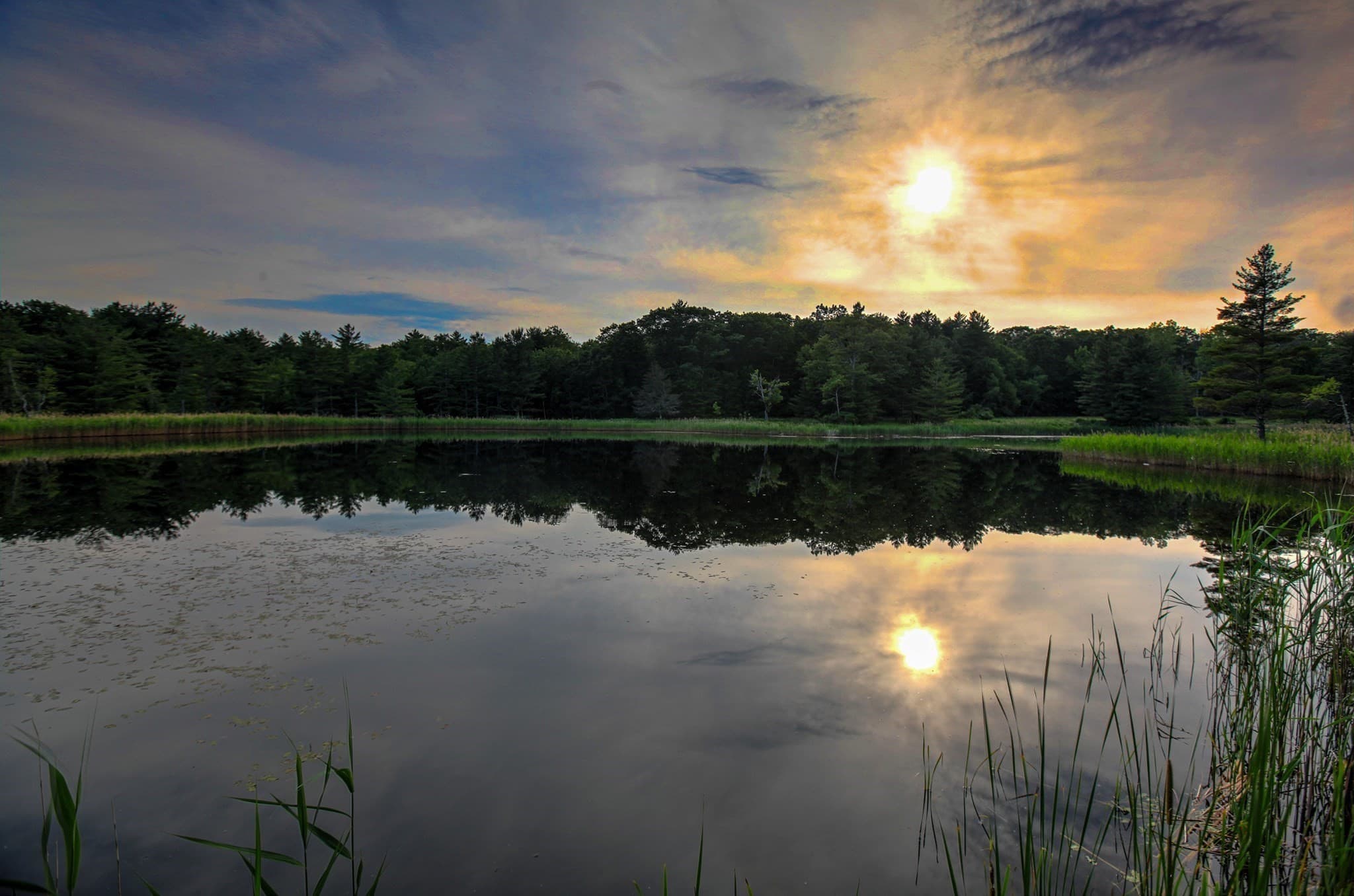 Farm at 764 East Hill Road, New Marlboro MA 01230, New Marlboro, photo 15 of 42