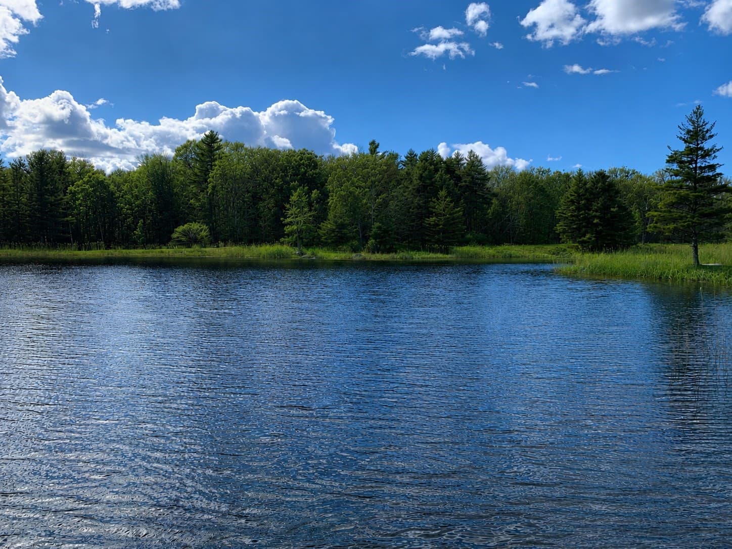 Farm at 764 East Hill Road, New Marlboro MA 01230, New Marlboro, photo 4 of 42