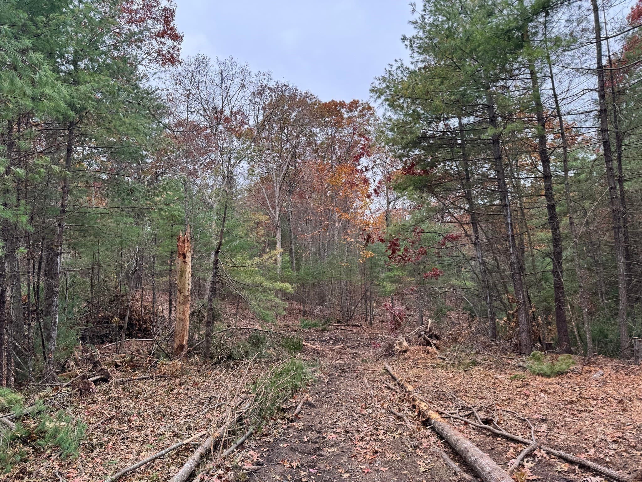 Residential at 0 Steere Farm Rd, Burrillville RI 02830, Burrillville, photo 13 of 18