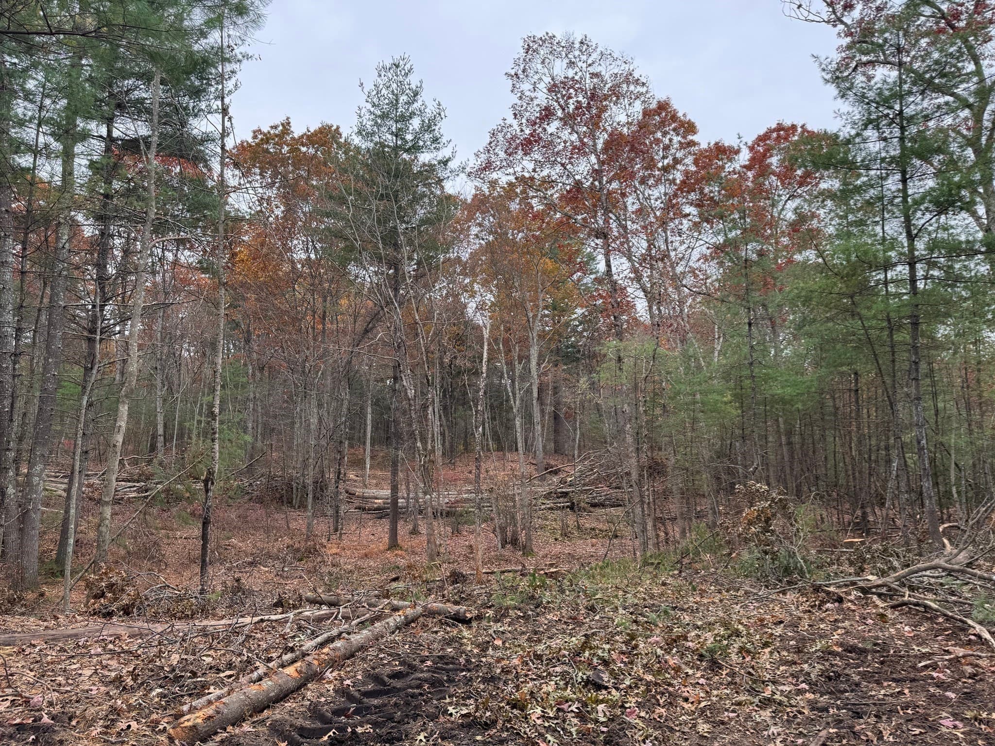Residential at 0 Steere Farm Rd, Burrillville RI 02830, Burrillville, photo 16 of 18