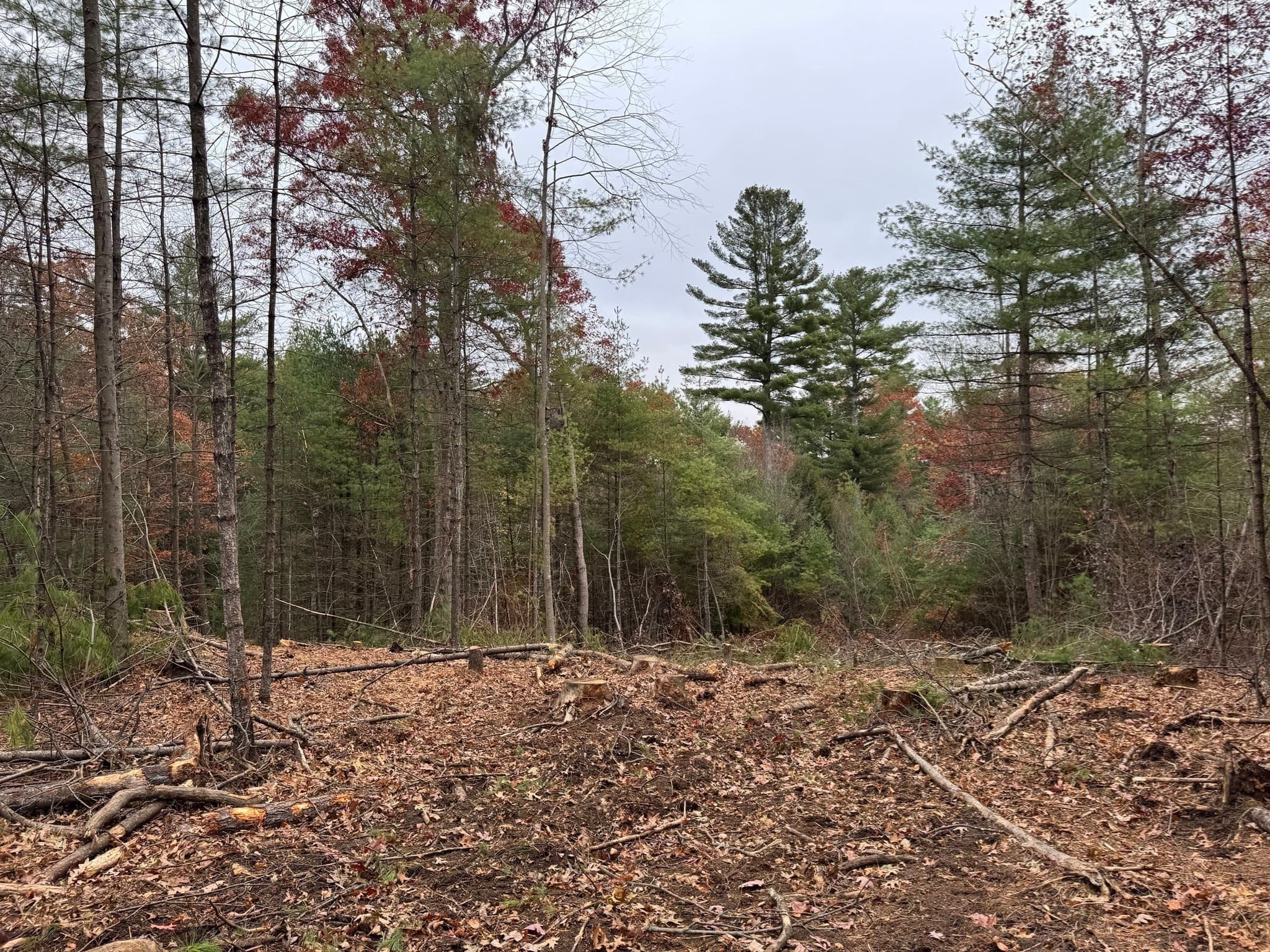 Residential at 0 Steere Farm Rd, Burrillville RI 02830, Burrillville, photo 14 of 18