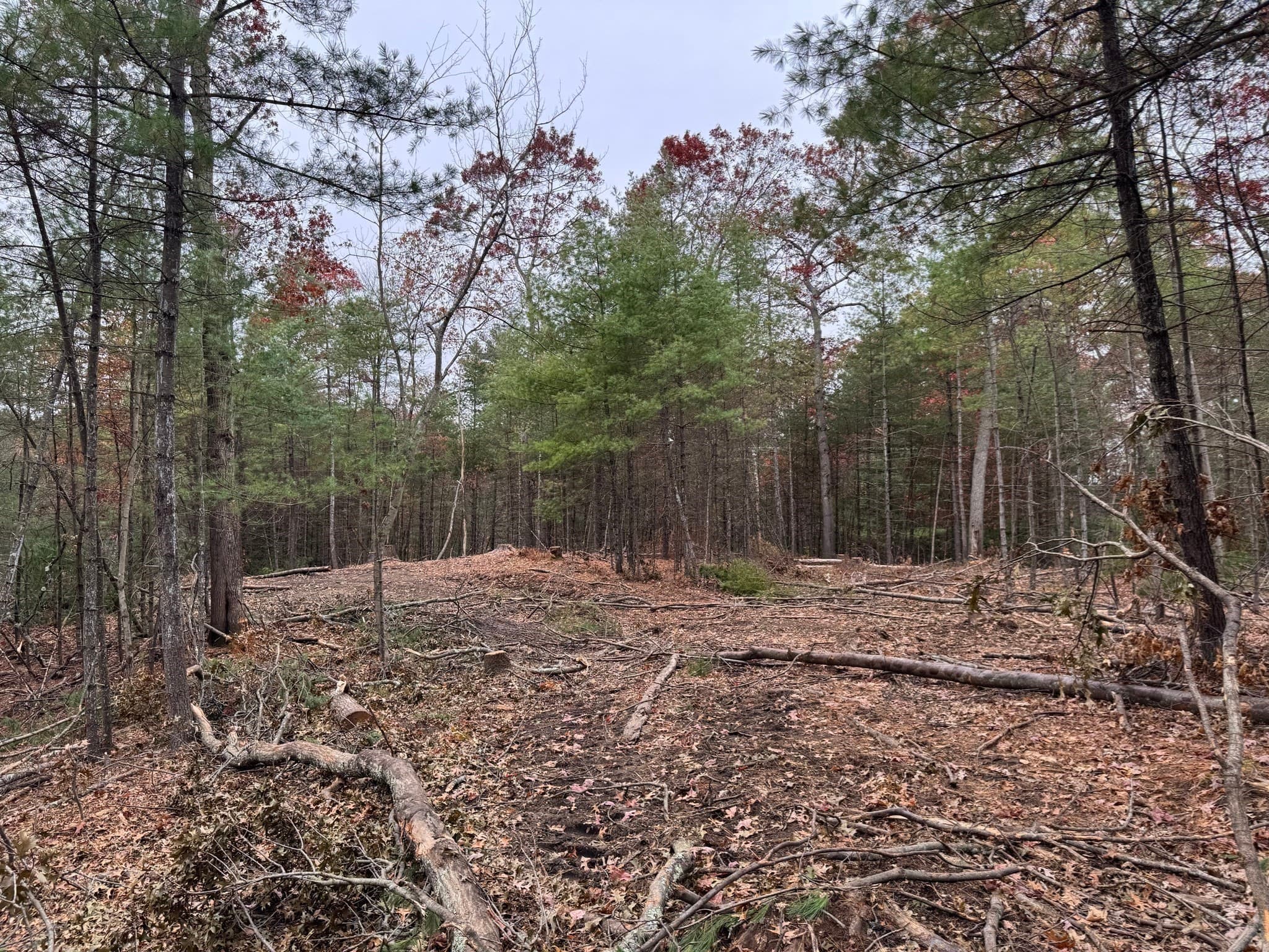 Residential at 0 Steere Farm Rd, Burrillville RI 02830, Burrillville, photo 15 of 18