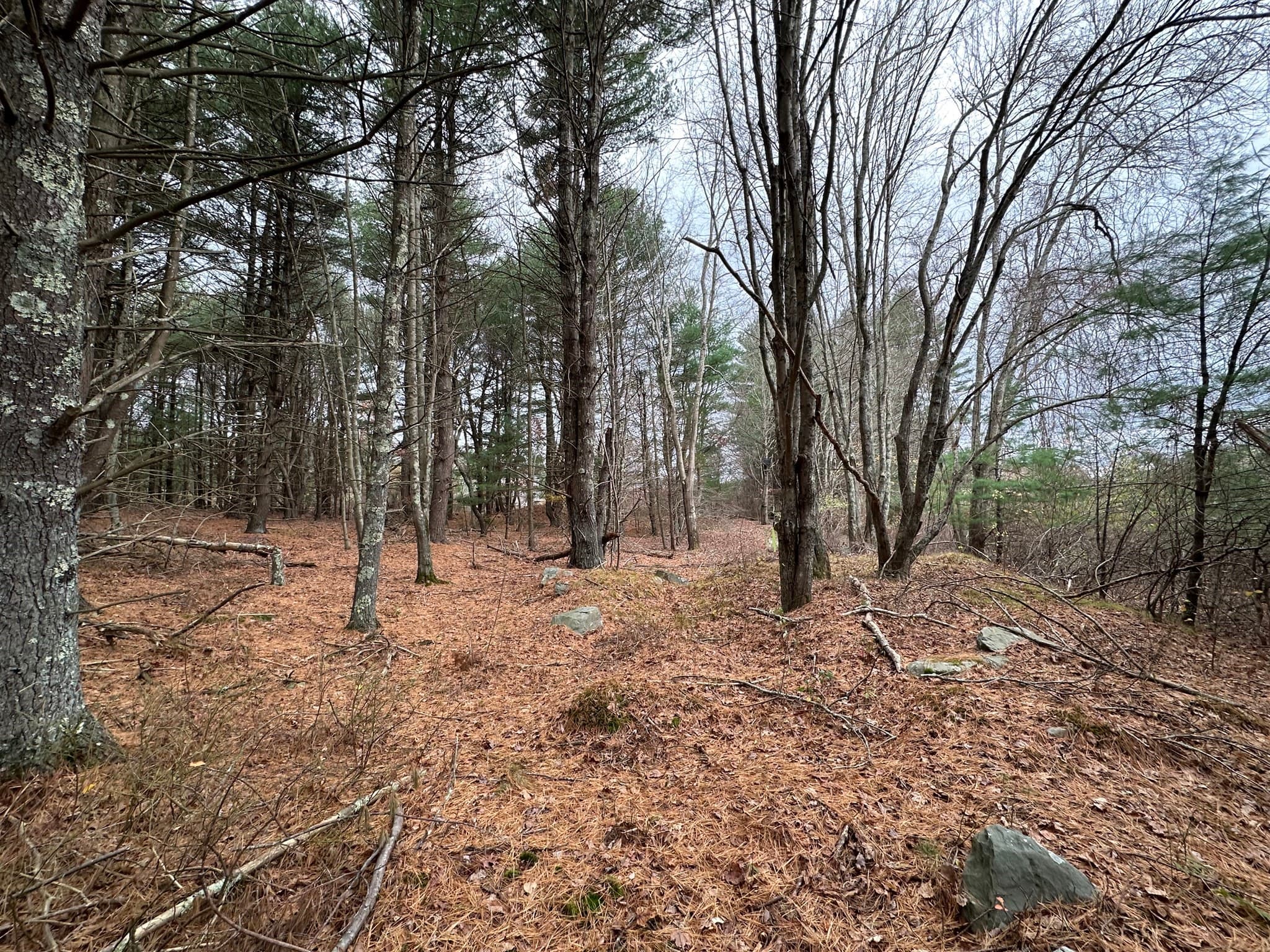 Residential at 0 Cross Street (Rear), Lakeville MA 02347, photo 6 of 35