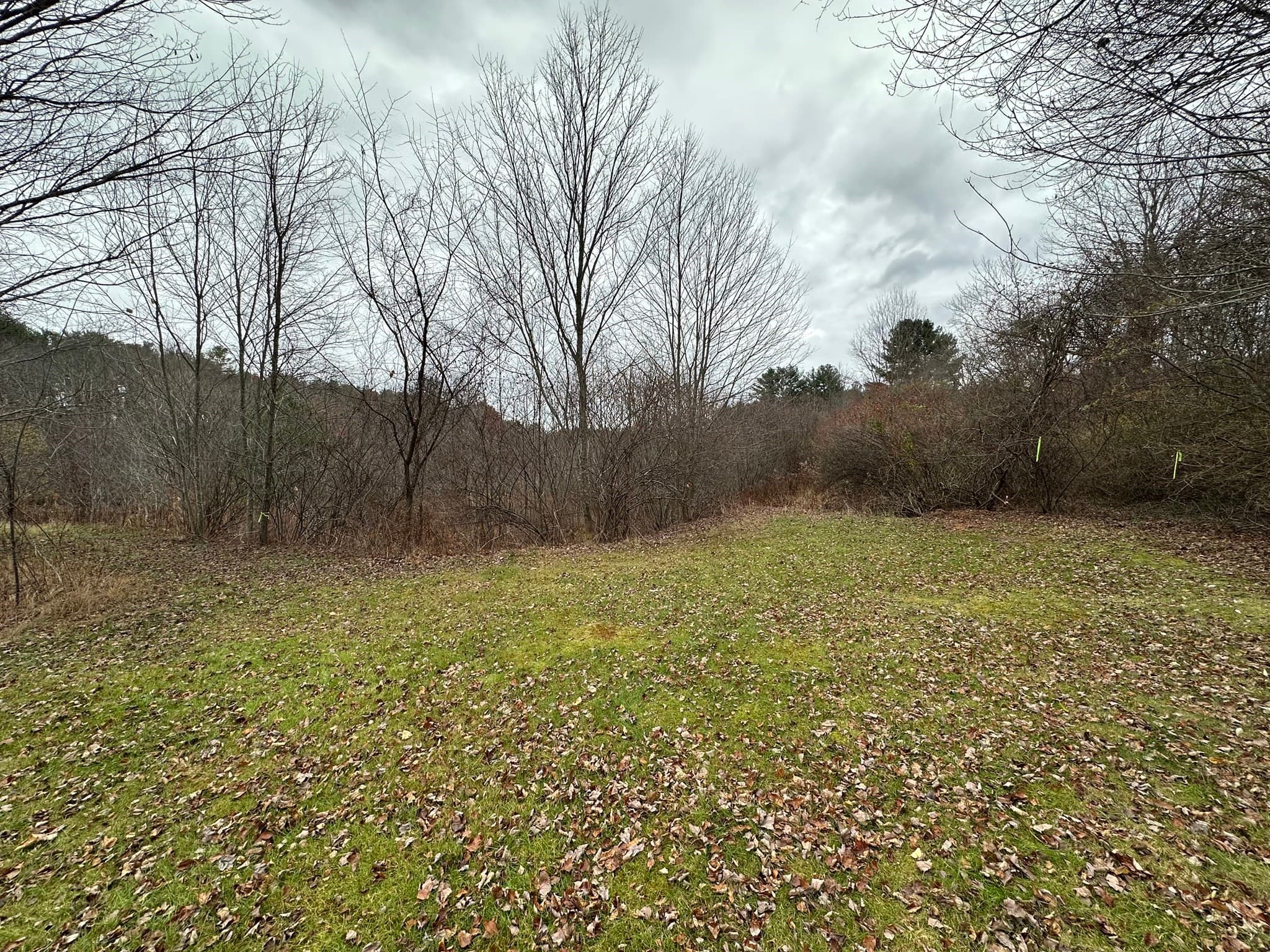 Residential at 0 Cross Street (Rear), Lakeville MA 02347, photo 10 of 35