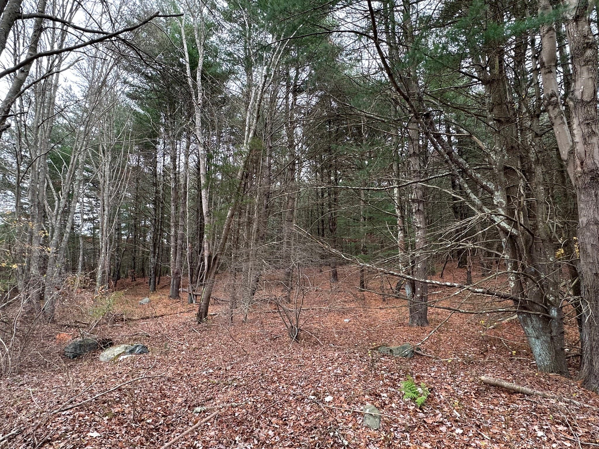 Residential at 0 Cross Street (Rear), Lakeville MA 02347, photo 11 of 35