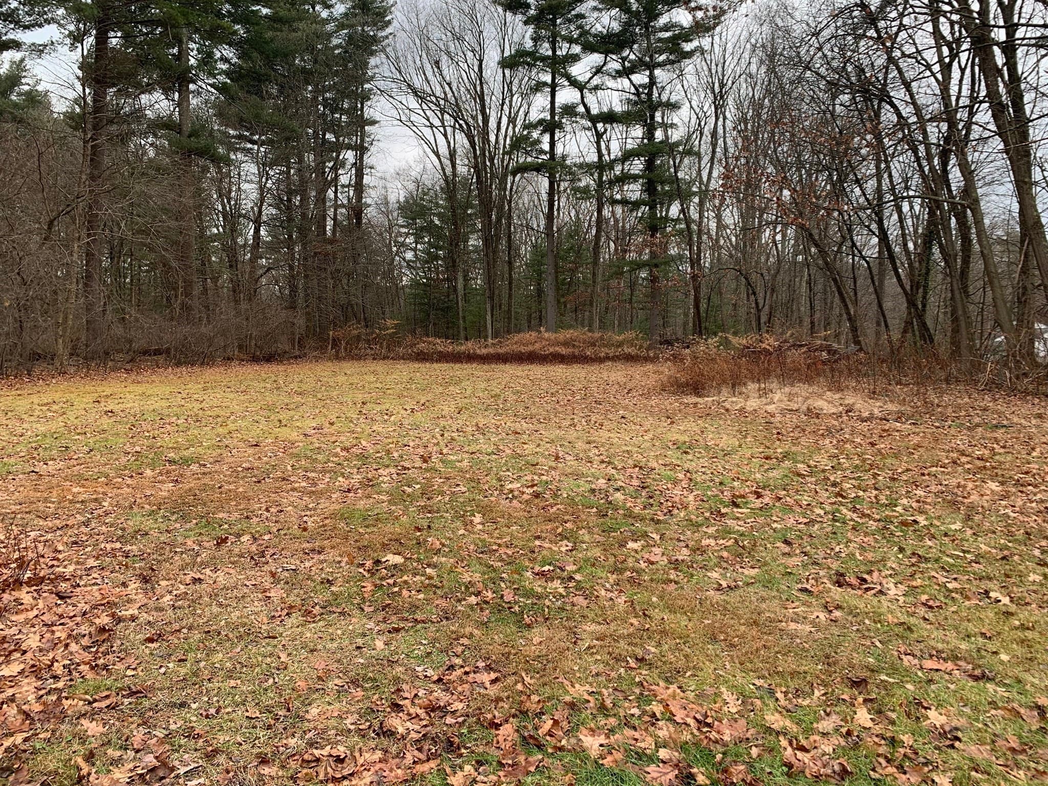 Agriculture at 767 Stony Hill Rd, Wilbraham MA 01095, photo 2 of 11