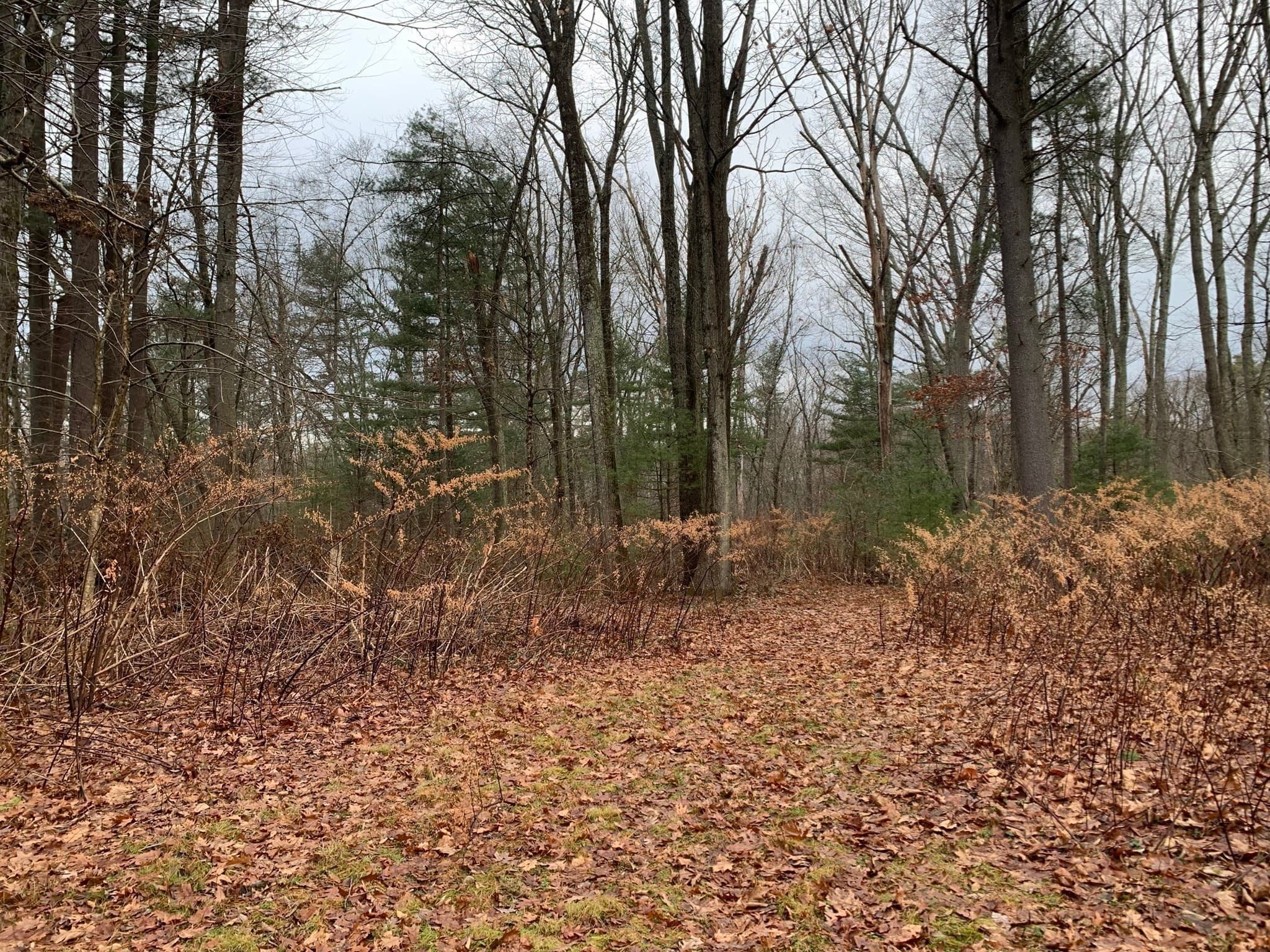 Agriculture at 767 Stony Hill Rd, Wilbraham MA 01095, photo 7 of 11