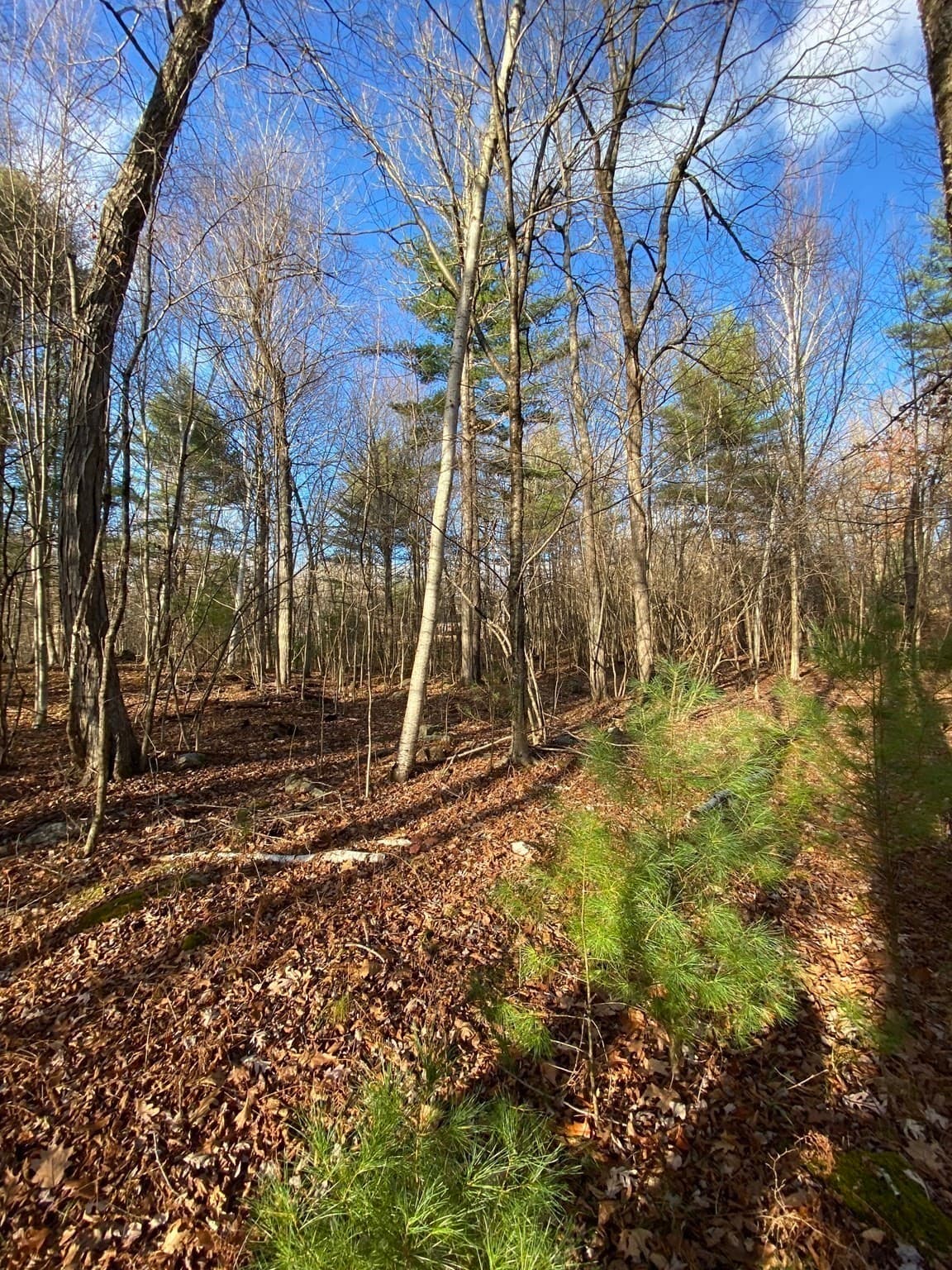 Residential at Lot B Brimfield Rd, Monson MA 01057, photo 2 of 7