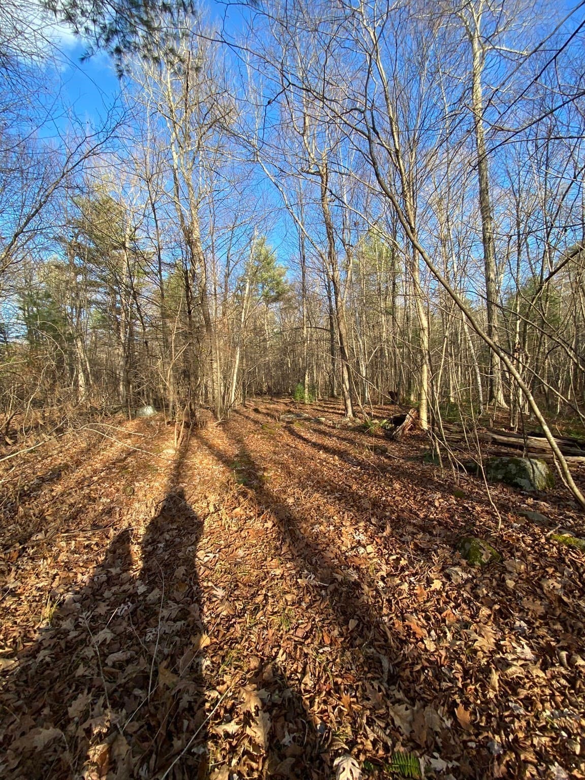 Residential at Lot B Brimfield Rd, Monson MA 01057, photo 6 of 7