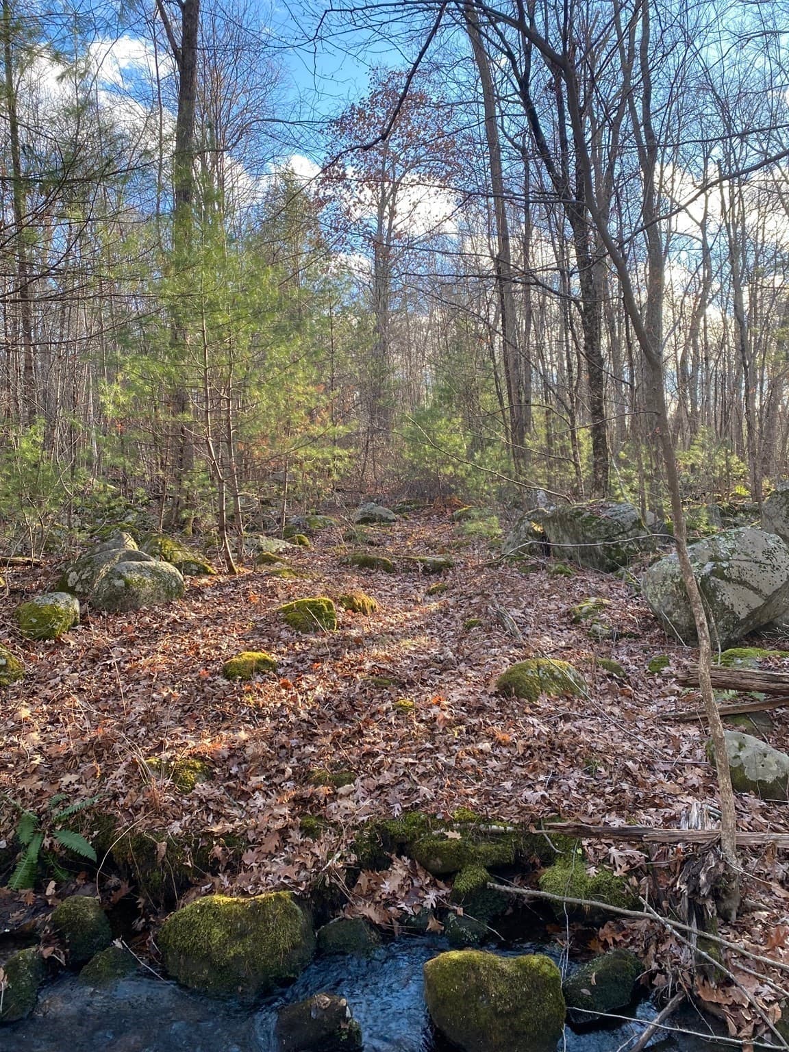 Residential at Lot B Brimfield Rd, Monson MA 01057, photo 7 of 7