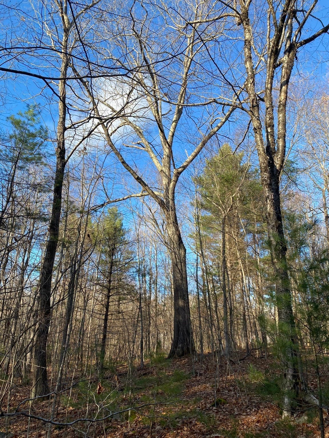 Lot B Brimfield Rd, Monson MA 01057