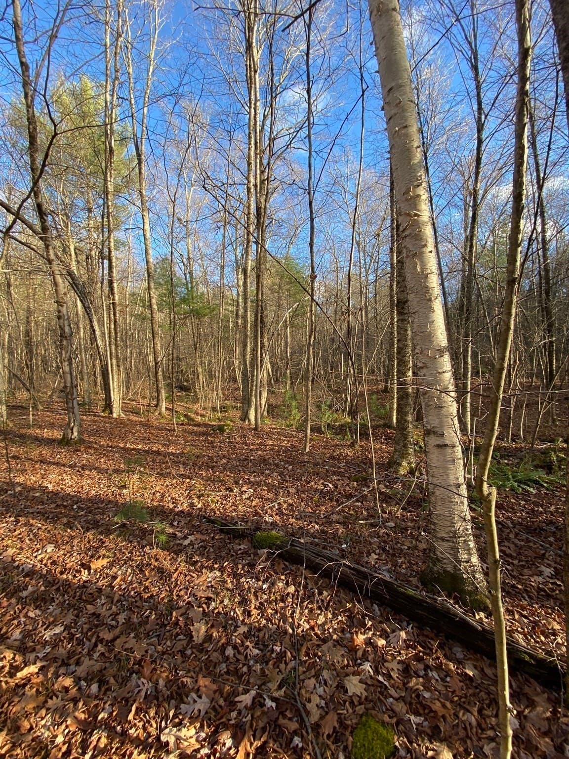 Residential at Lot B Brimfield Rd, Monson MA 01057, photo 5 of 7