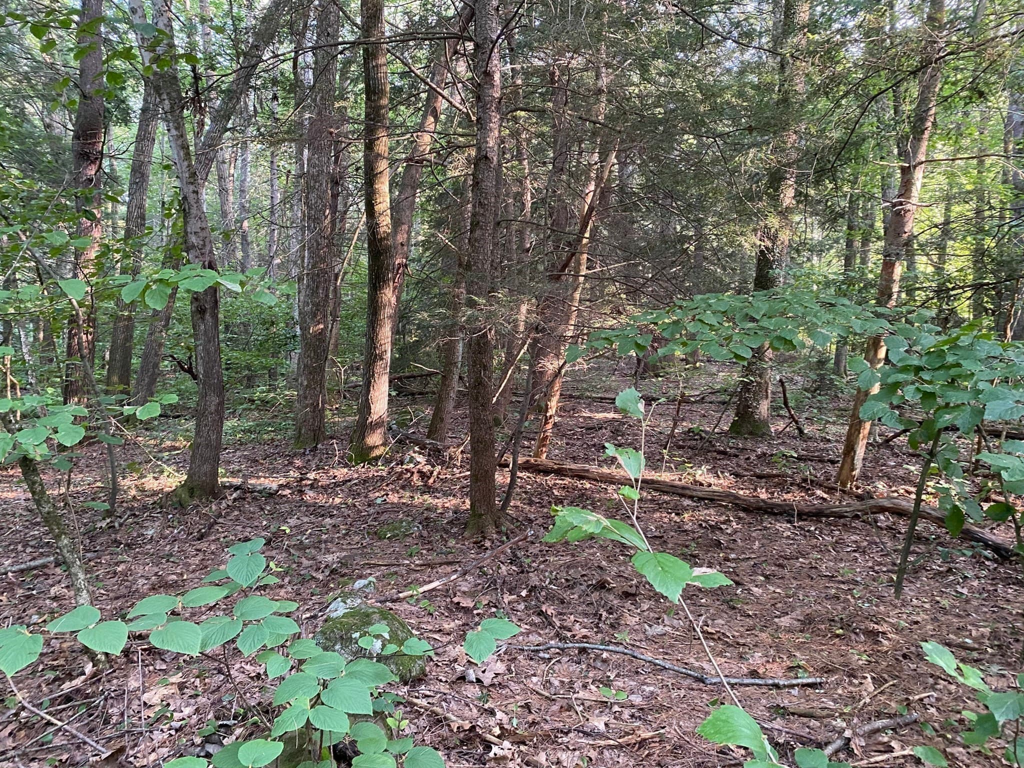 Residential at Lot B Brimfield Rd, Monson MA 01057, photo 4 of 7