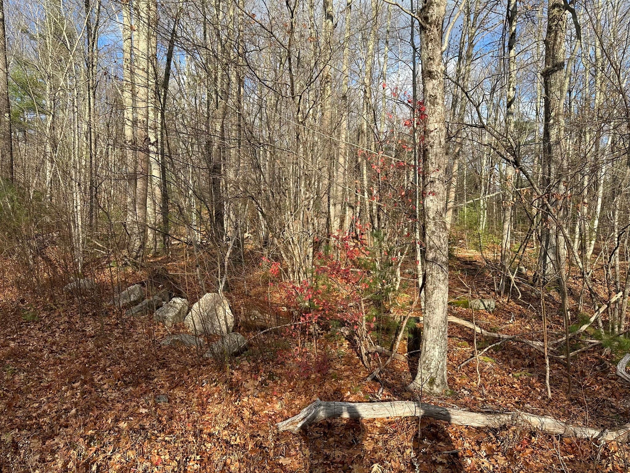 Lot 2 Jourdan Road, Montgomery MA 01085
