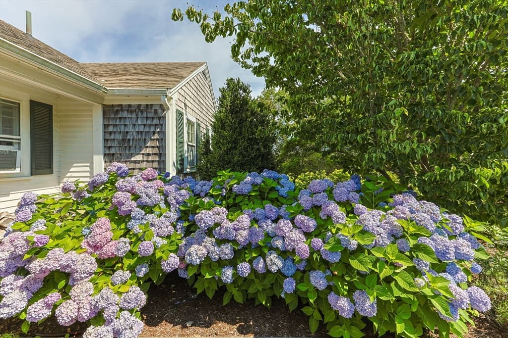 Single Family Residence at 78 Indian Trail, Chatham MA 02633, Chatham, photo 6 of 42