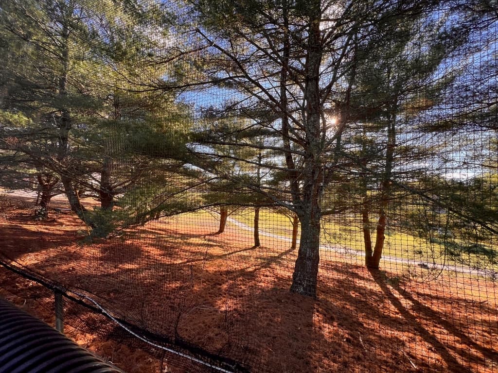 31 Reservoir Ave, Lakeville MA 02347 photo 4