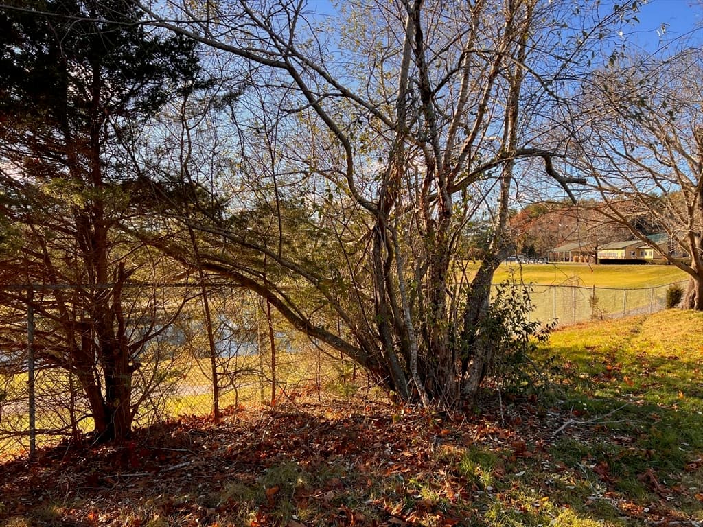 33 Reservoir Ave, Lakeville MA 02347 photo 8