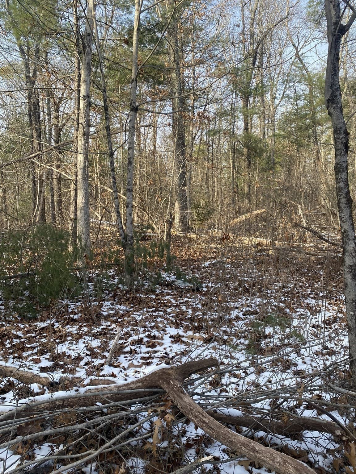 Residential at 121 & lt12 Sturbridge Rd, Brimfield MA 01010, photo 6 of 16