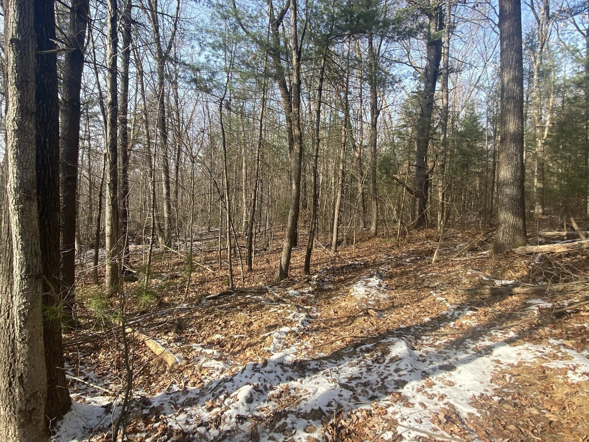 Residential at 121 & lt12 Sturbridge Rd, Brimfield MA 01010, photo 13 of 16