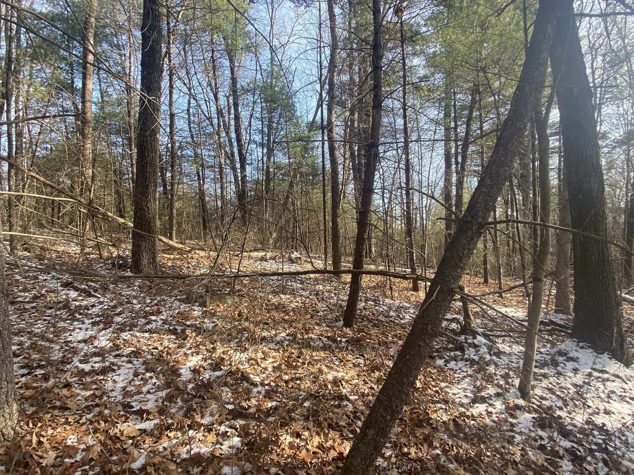 Residential at 121 & lt12 Sturbridge Rd, Brimfield MA 01010, photo 12 of 16