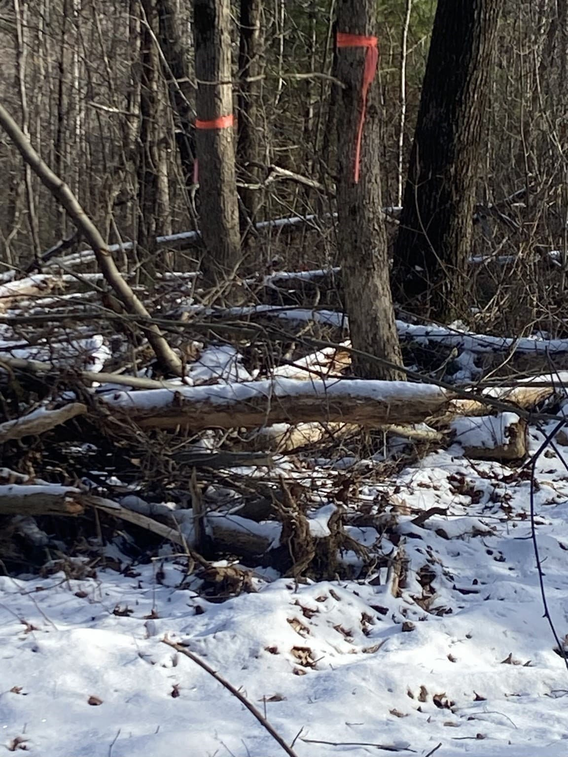 Residential at 121 & lt12 Sturbridge Rd, Brimfield MA 01010, photo 7 of 16