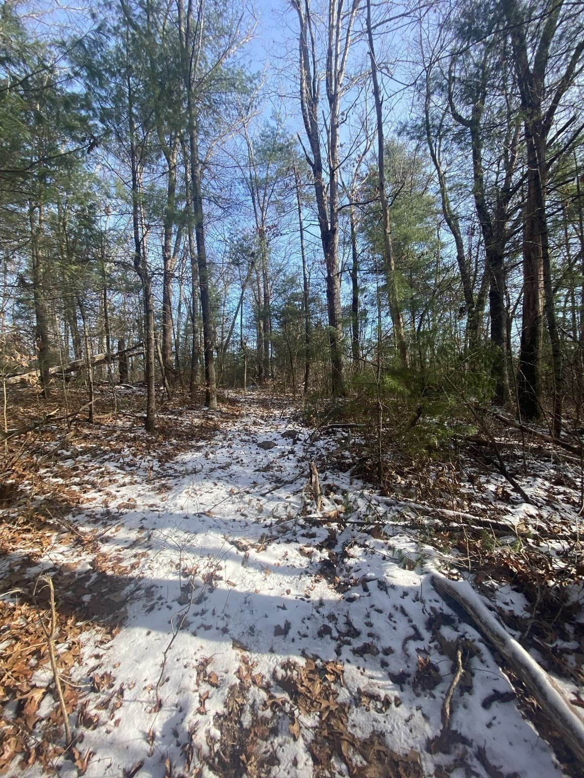 Residential at 121 & lt12 Sturbridge Rd, Brimfield MA 01010, photo 9 of 16