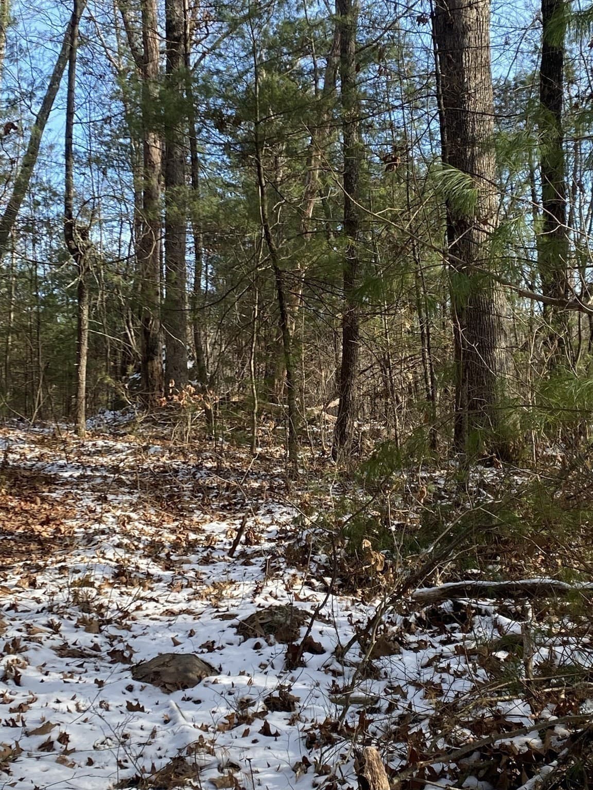 Residential at 121 & lt12 Sturbridge Rd, Brimfield MA 01010, photo 10 of 16