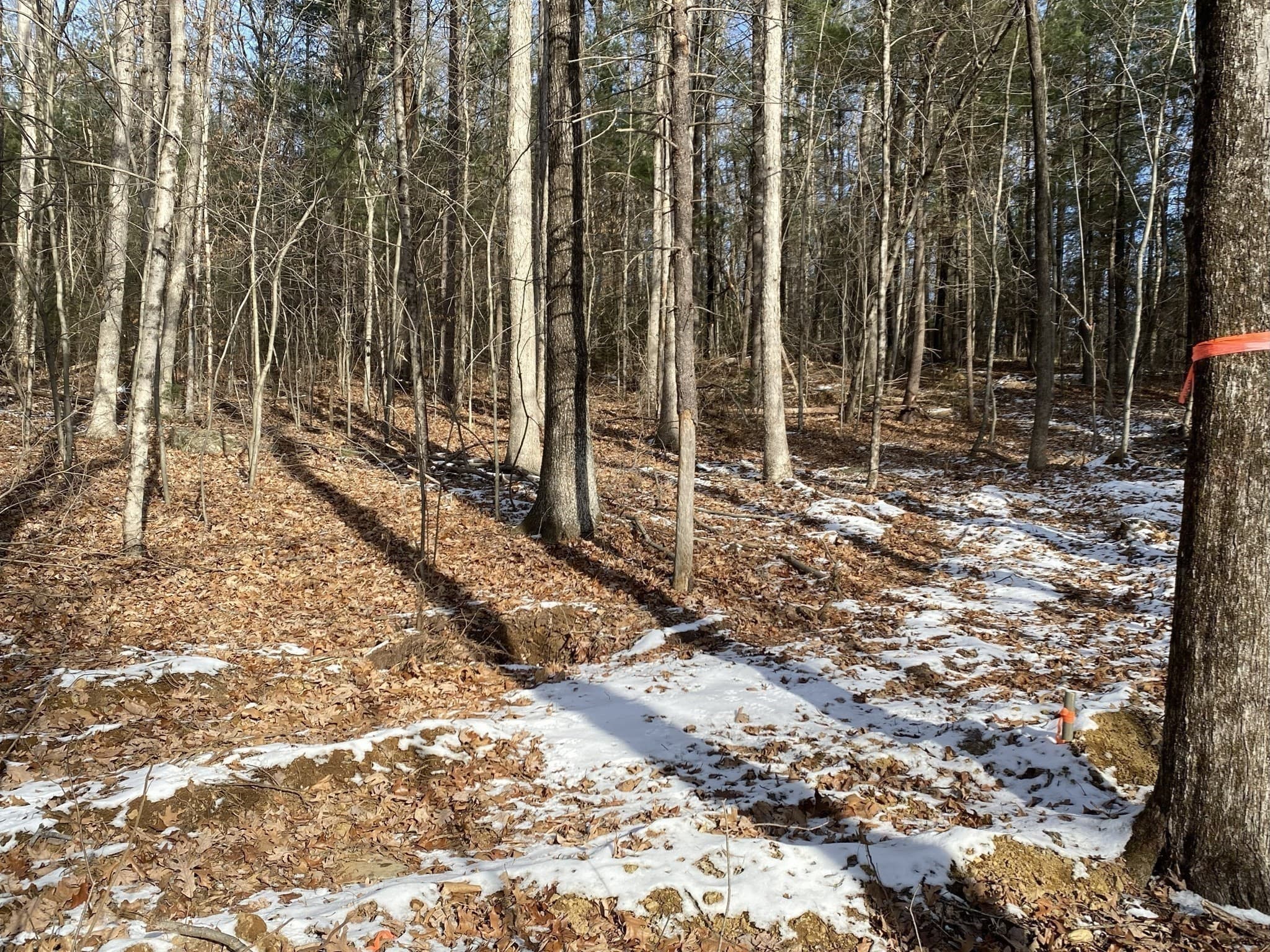 Residential at 121 & lt12 Sturbridge Rd, Brimfield MA 01010, photo 14 of 16