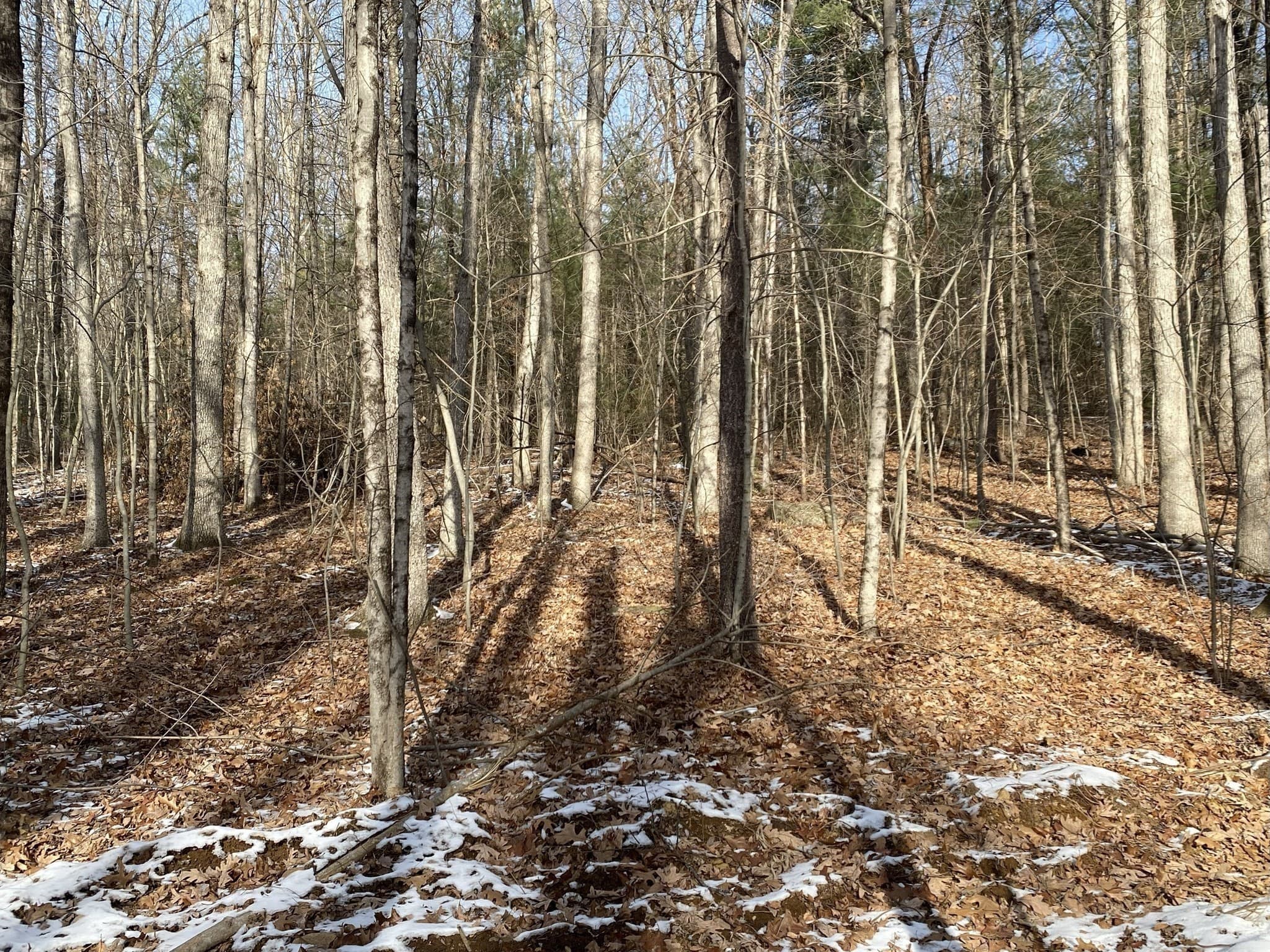 Residential at 121 & lt12 Sturbridge Rd, Brimfield MA 01010, photo 15 of 16