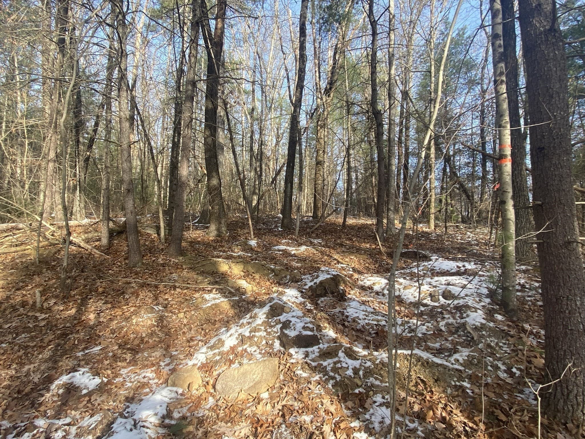Residential at 121 & lt12 Sturbridge Rd, Brimfield MA 01010, photo 4 of 16