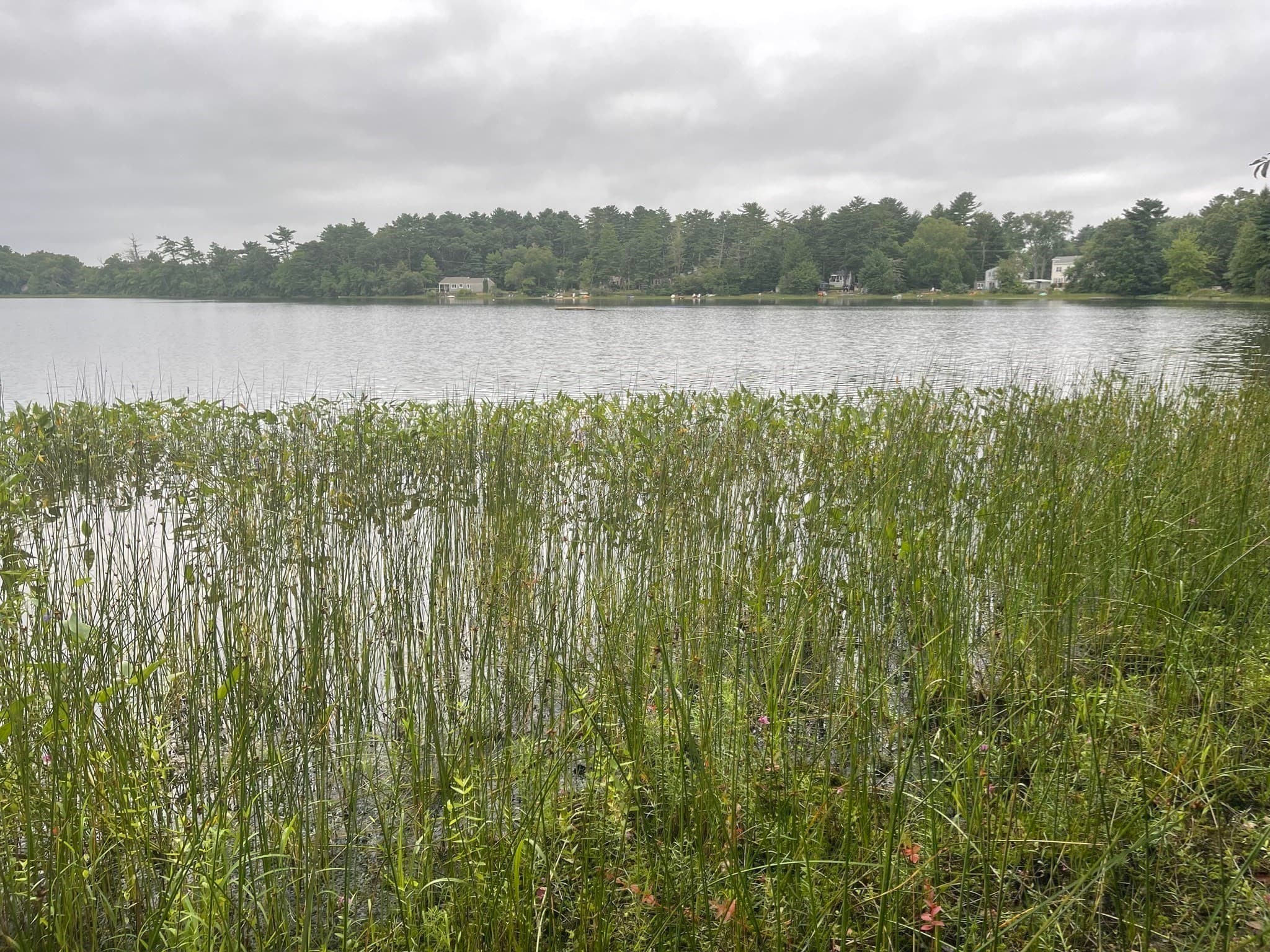 Residential at 11 + 13 Blackmore Pond Circle, Wareham MA 02576, photo 11 of 11