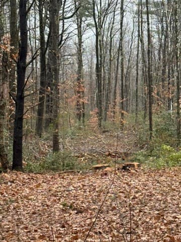 Residential at 0 Wendell  Depot Rd, Wendell MA 01379, photo 2 of 9