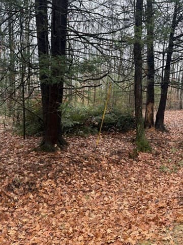 Residential at 0 Wendell  Depot Rd, Wendell MA 01379, photo 7 of 9