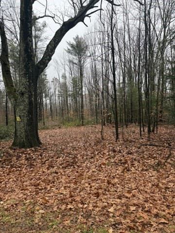 0 Wendell Depot Rd, Wendell MA 01379