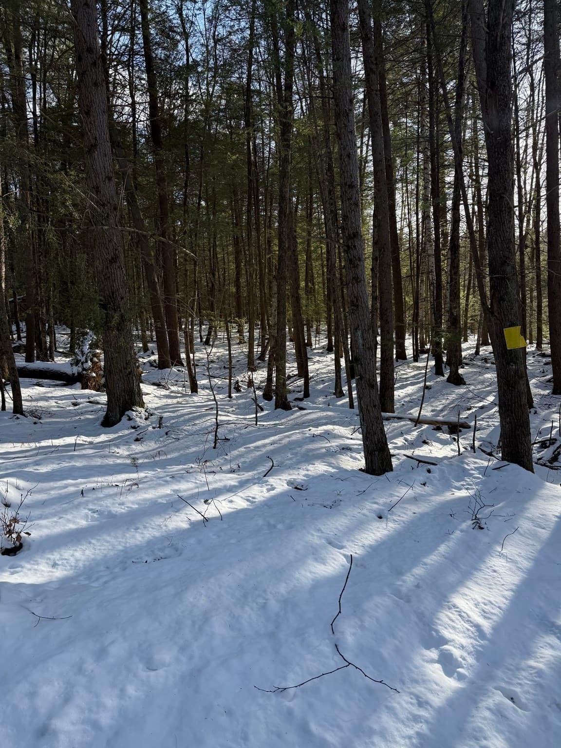 Residential at 0 Four Mile Brook Rd, Northfield MA 01360, Northfield, photo 2 of 11