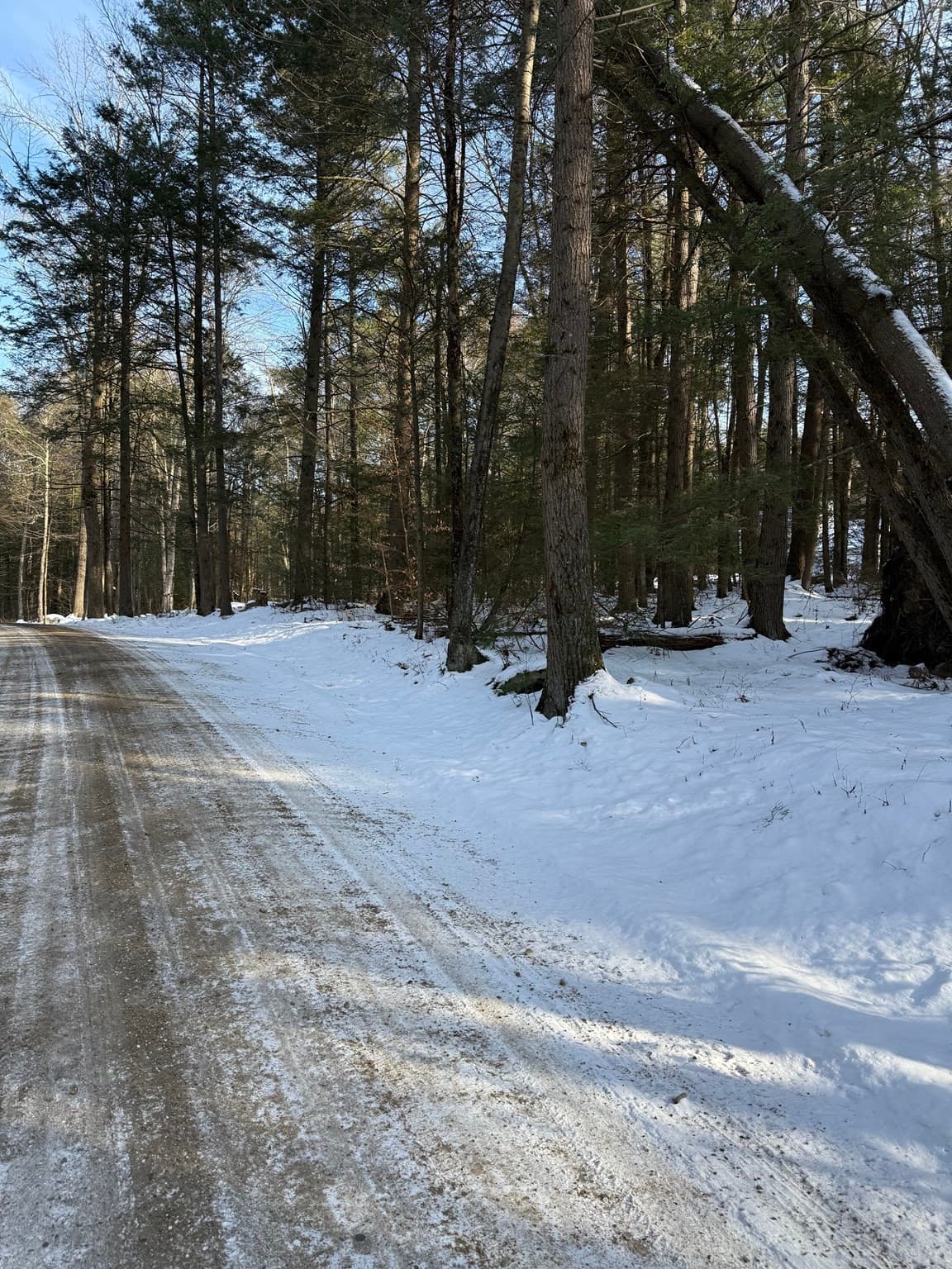 Residential at 0 Four Mile Brook Rd, Northfield MA 01360, Northfield, photo 6 of 11