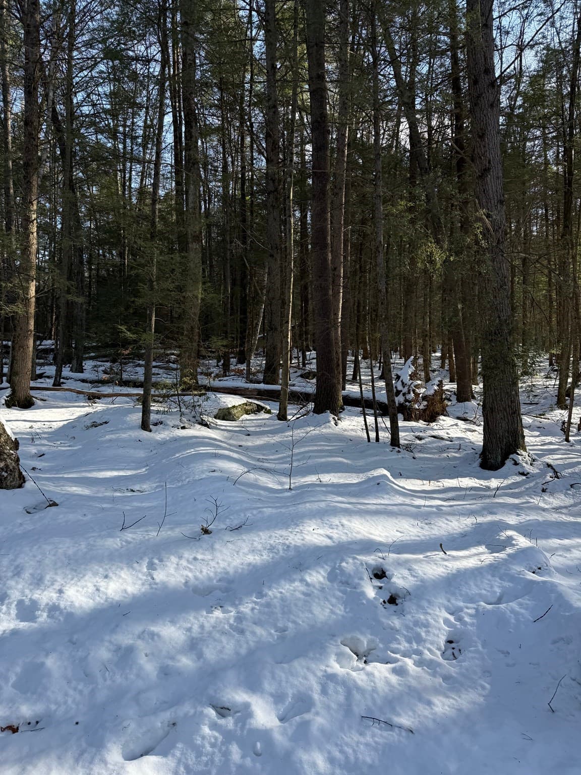 Residential at 0 Four Mile Brook Rd, Northfield MA 01360, Northfield, photo 3 of 11