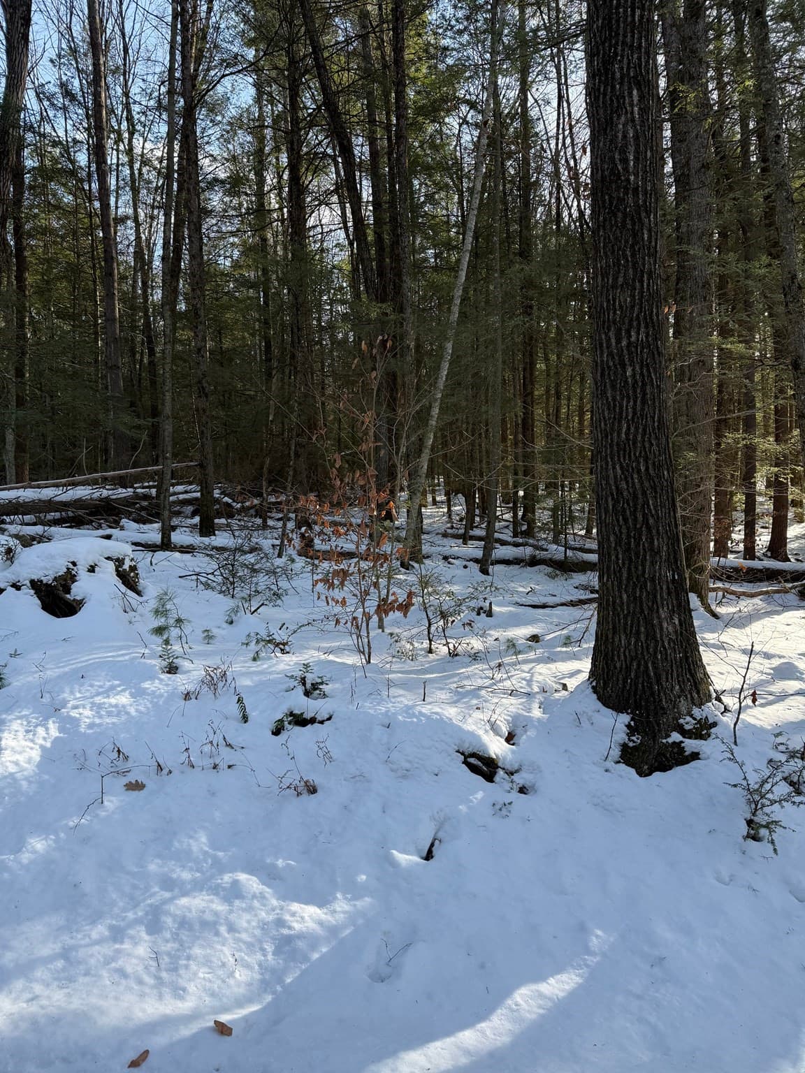 Residential at 0 Four Mile Brook Rd, Northfield MA 01360, Northfield, photo 5 of 11
