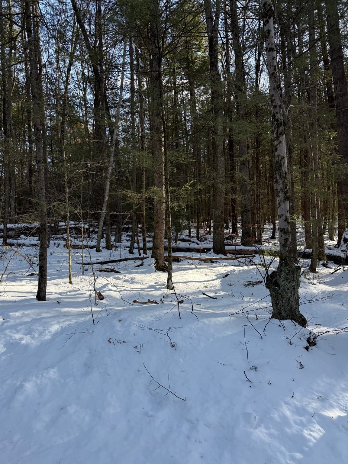 Residential at 0 Four Mile Brook Rd, Northfield MA 01360, Northfield, photo 4 of 11