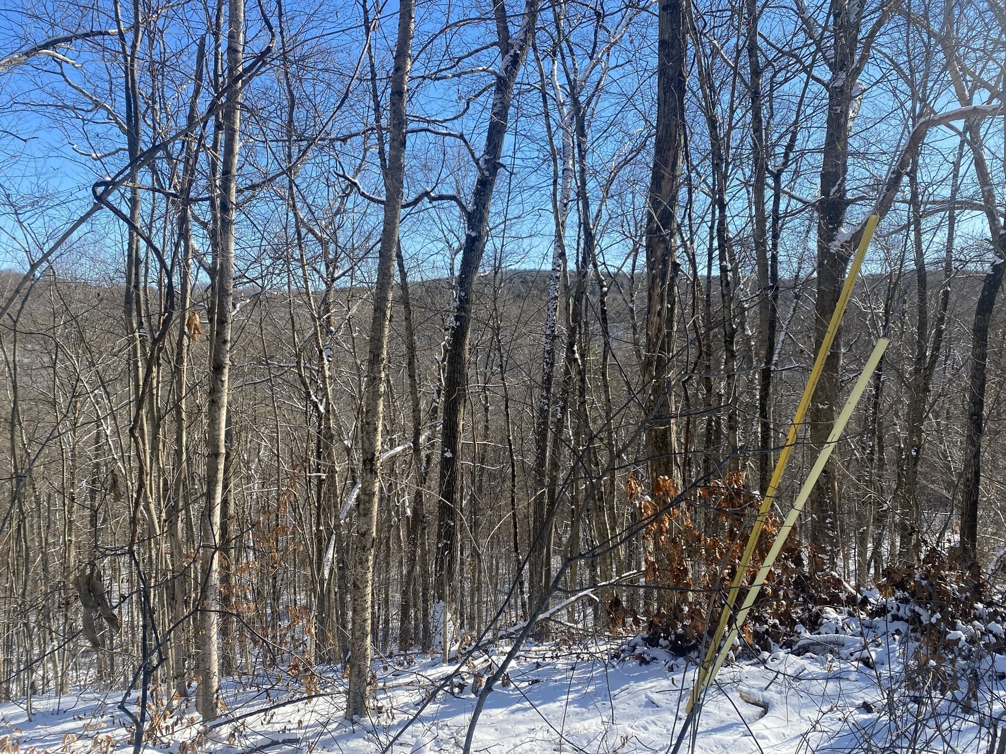 Residential at 593 Old Warren Road, Palmer MA 01069, photo 2 of 8