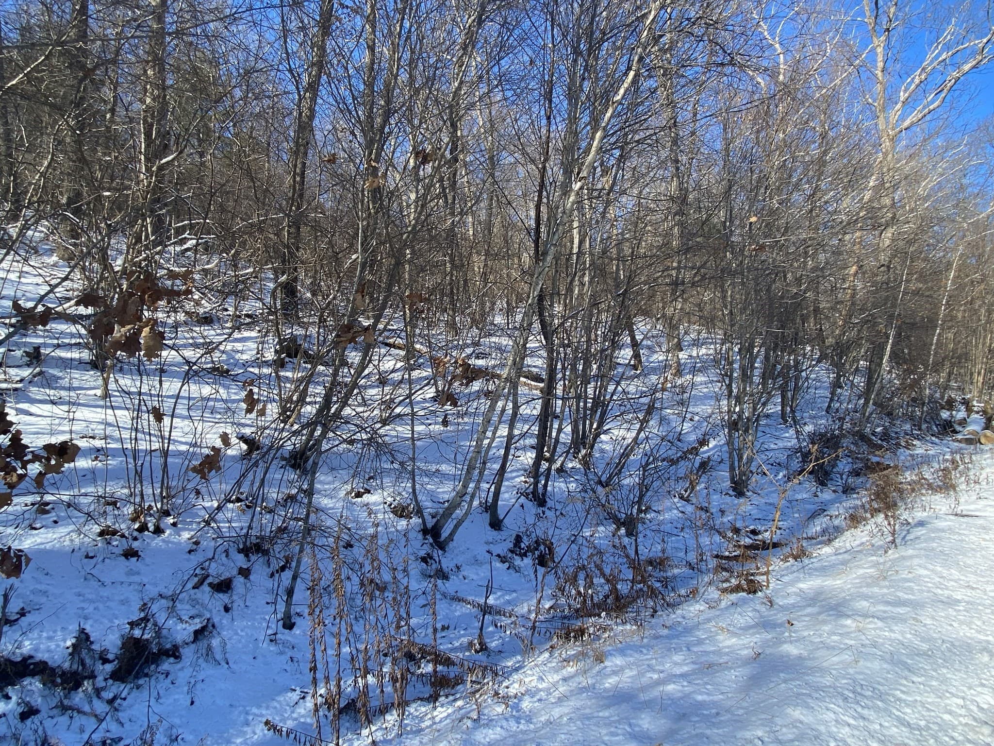 Residential at 593 Old Warren Road, Palmer MA 01069, photo 6 of 8