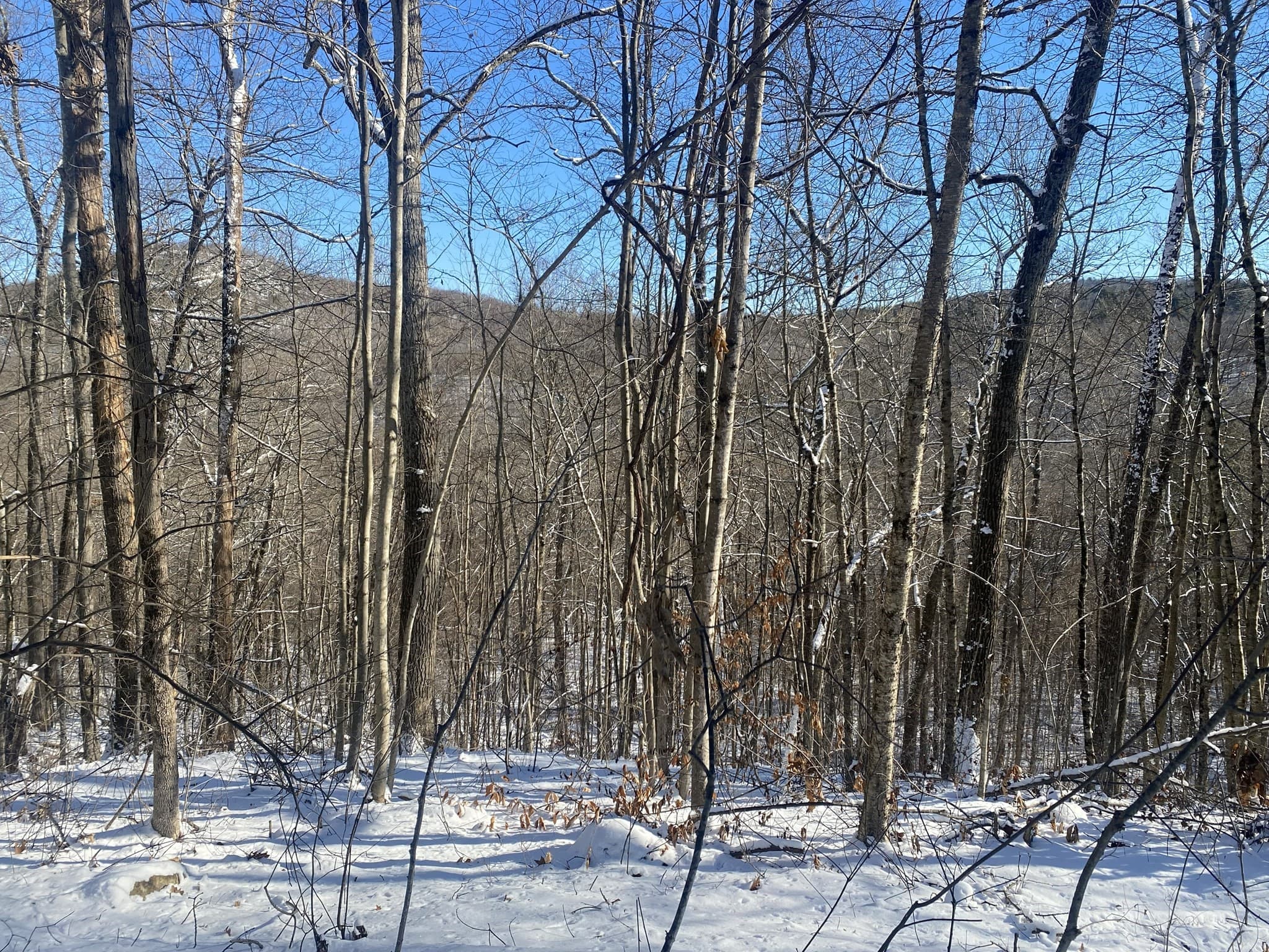 593 Old Warren Road, Palmer MA 01069