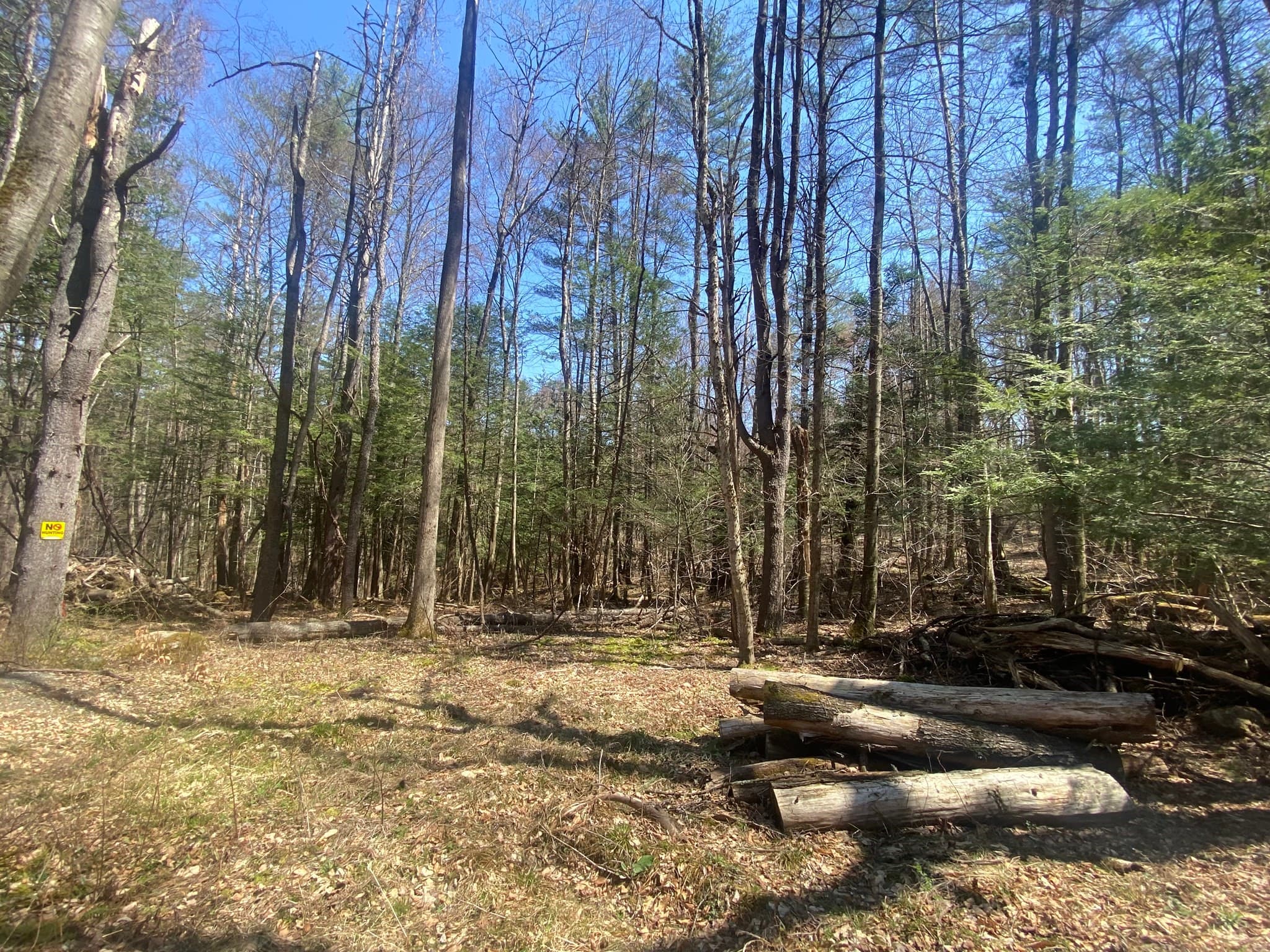 Agriculture at 0 Schaefer Way, Charlemont MA 01339, photo 12 of 16