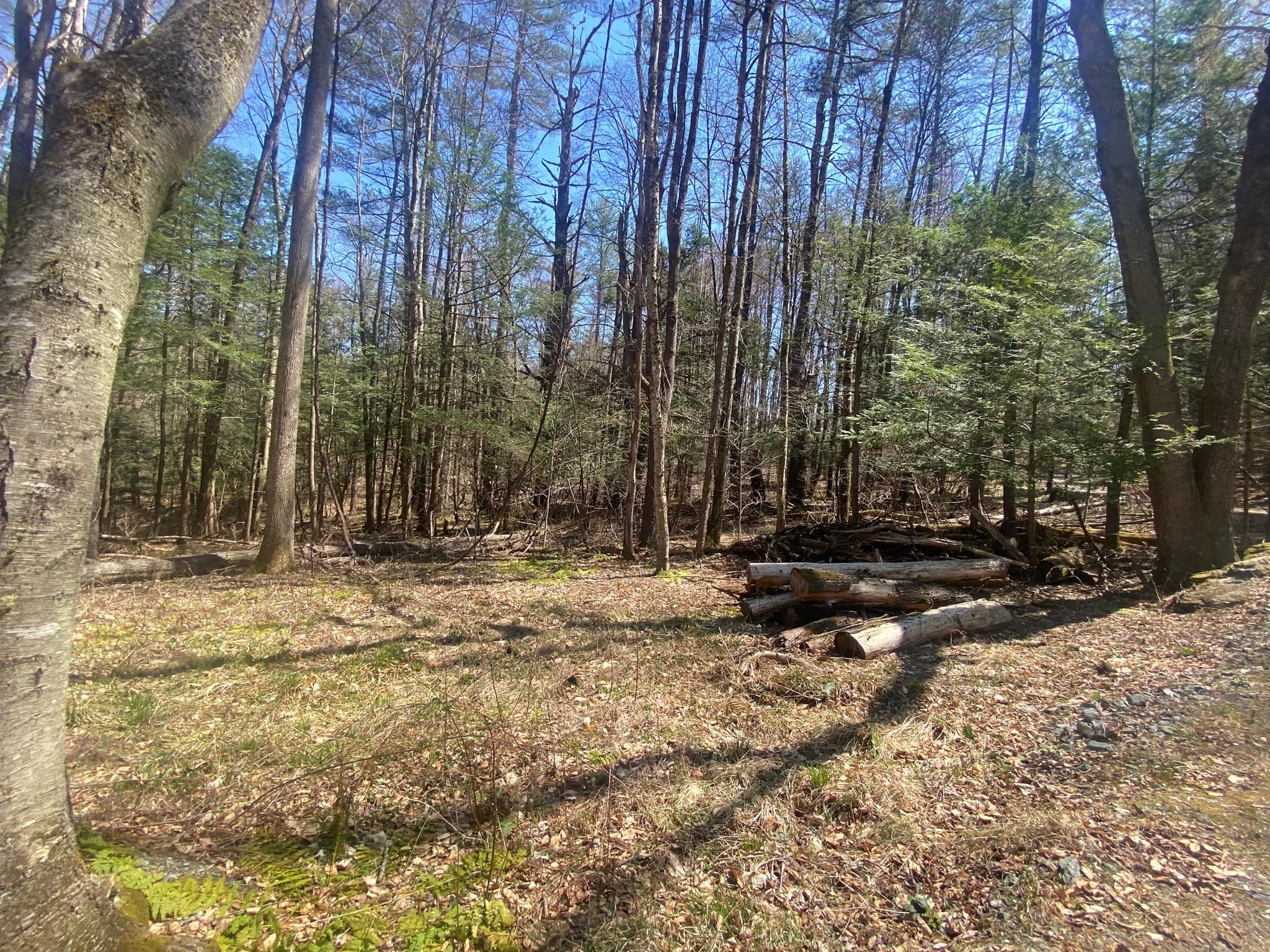 Agriculture at 0 Schaefer Way, Charlemont MA 01339, photo 3 of 16