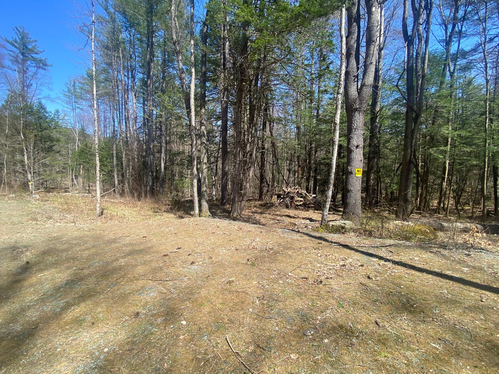 Agriculture at 0 Schaefer Way, Charlemont MA 01339, photo 5 of 16