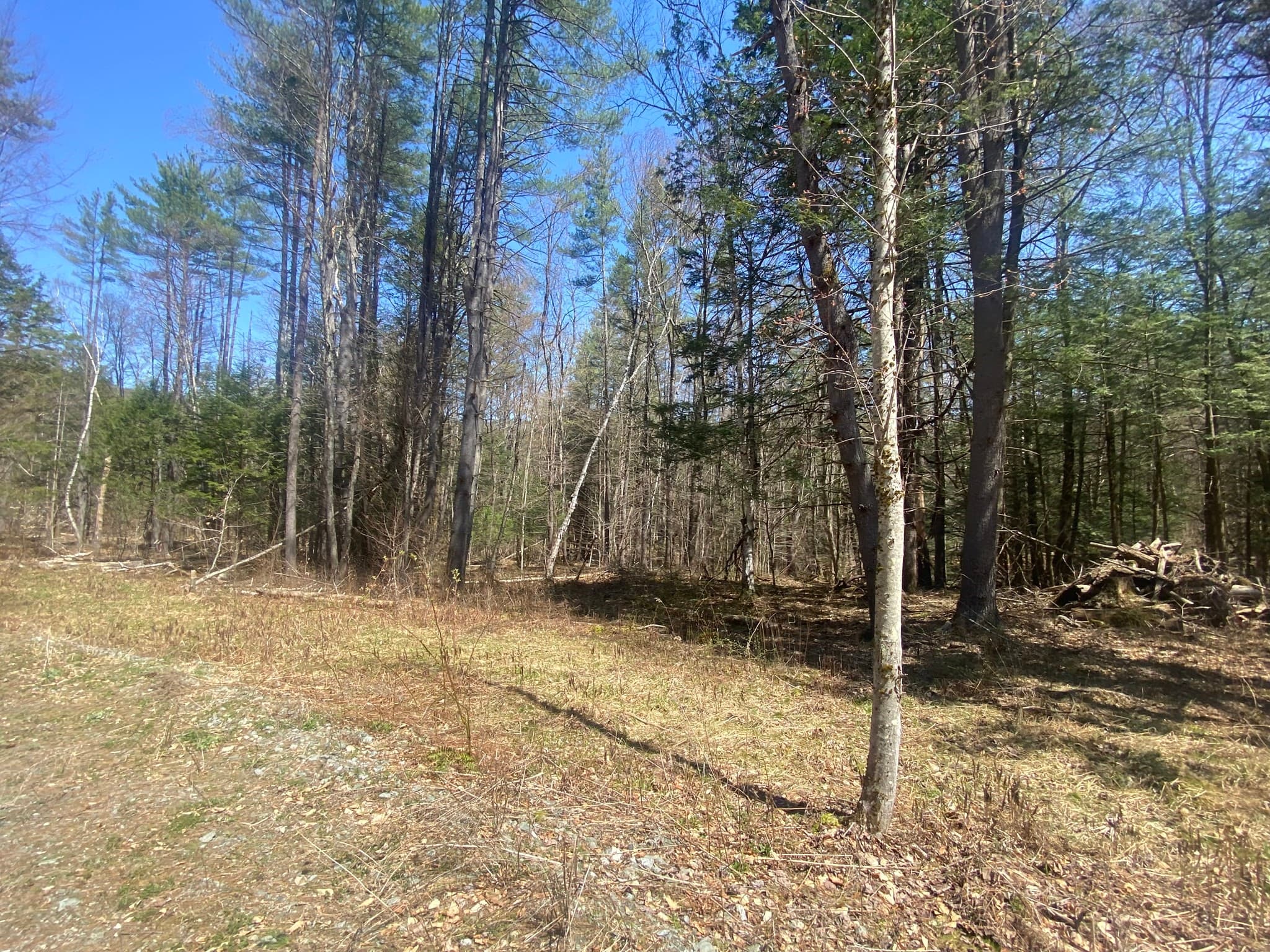 Agriculture at 0 Schaefer Way, Charlemont MA 01339, photo 10 of 16