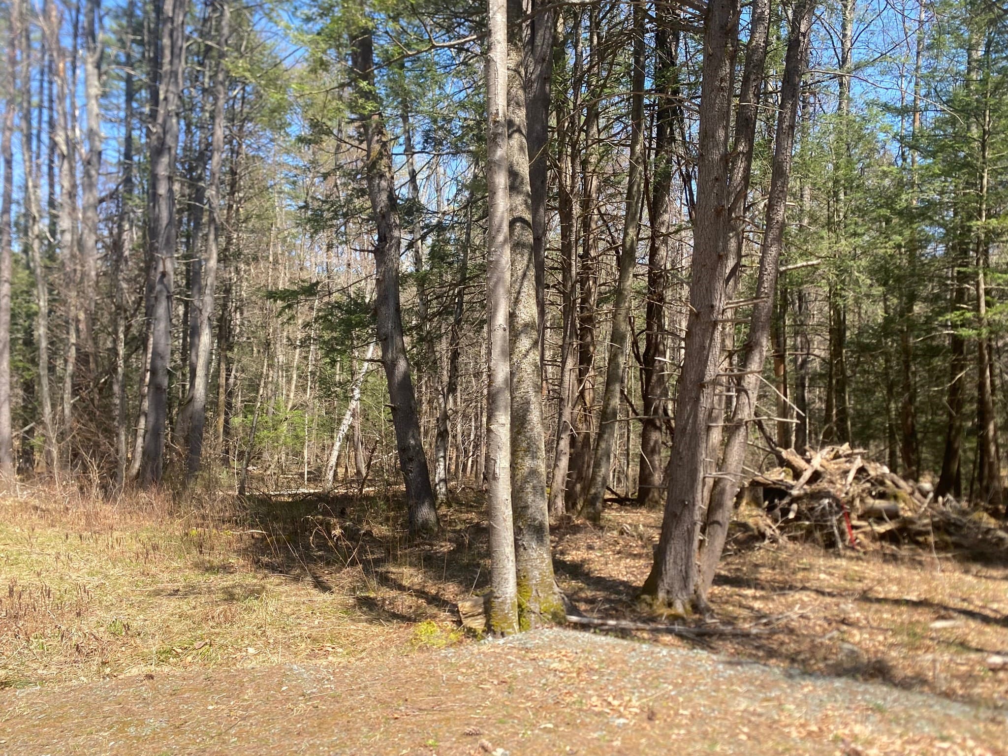 Agriculture at 0 Schaefer Way, Charlemont MA 01339, photo 15 of 16