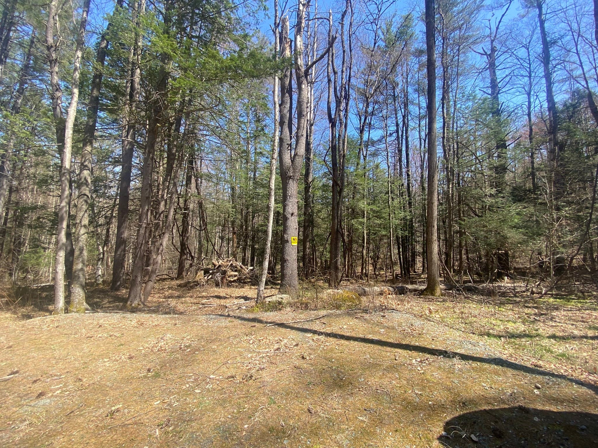Agriculture at 0 Schaefer Way, Charlemont MA 01339, photo 4 of 16