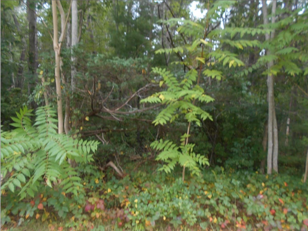 Commercial at 2711 Cranberry Hwy, Wareham MA 02571, Wareham, photo 3 of 3